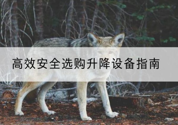 涧西升降货梯厂家推荐-*安全选购升降设备指南