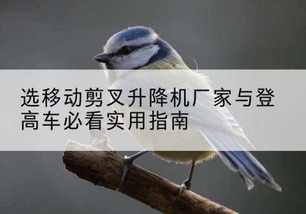 涧西电动升降机厂家-选移动剪叉升降机厂家与登高车必看实用指南