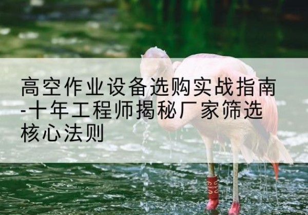 涧西剪叉式升降机厂家-高空作业设备选购实战指南-十年工程师揭秘厂家筛选核心法则
